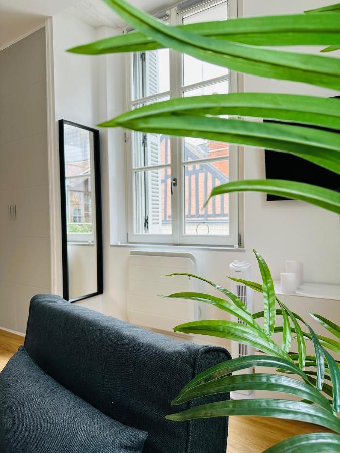 Appartement Le Lagon Tours
